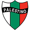 camiseta Club Deportivo Palestino